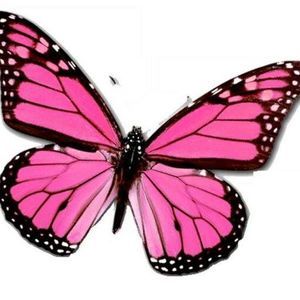 Meet your Posher, Joyce